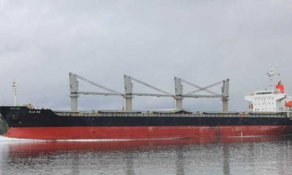 W K Webster & Co Ltd